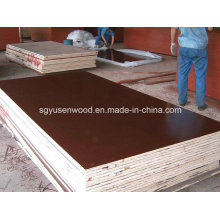 out Door First Class Film Faced Shuttering Plywood